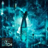 Artwork for "Fly Bitch"