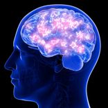 80 Hz Cognitive Repair