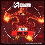 Artwork for "Burnt fur"