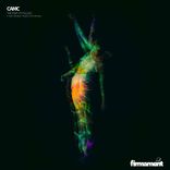 The Fear of Falling (Nytefix & Sim Remix)