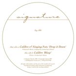 Artwork for "Drop It Down"