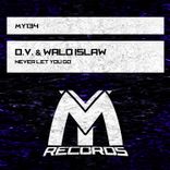 Portada para "Never Let You Go"