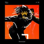 Artwork for "Paranauê"