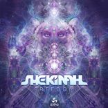 Artwork for "Freedom (Original Mix)"