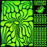 Portada para "Evergreen / only1"