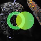 Artwork for "Spiral"