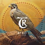 Artwork for "Falcon"