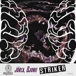 Striker