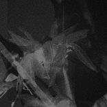 Artwork für "Pressurize EP"