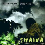 Artwork voor "Museum Of Dreams"
