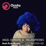 Portada para "Letting You Go"