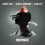 Artwork for "iNdondo"