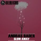 Artwork for "Slow Away"