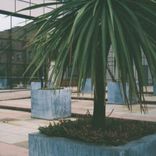 I Once Got up and Then Kept Lying