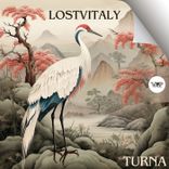 Artwork voor "Turna"
