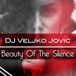 Artwork for "Beauty Of The Silence"
