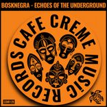 Artwork for "Echoes of the Underground"