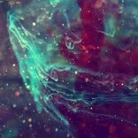 Artwork for "No Words"