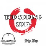 Artwork for "Trip Hop Top Spring 2017"