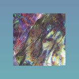 Artwork for "Alligned"