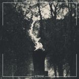 Artwork for "Voidwalker"