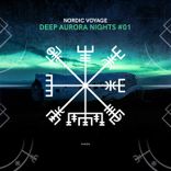 Artwork for "Deep Aurora Nights #01"