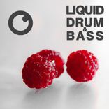 Liquid Drum & Bass Sessions 2020 Vol 16
