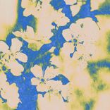 Artwork for "Minus Flowers"