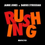 Artwork voor "Rushing"