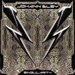 Artwork voor "Singularity"