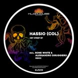 Portada para "Hey steep"