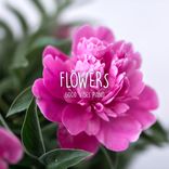 Artwork voor "Flowers"