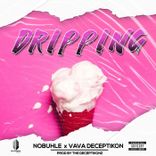 Artwork for "Dripping"
