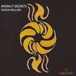 Artwork for "Moonlit Secrets"
