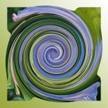 Artwork for "Morning"