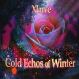Artwork für "Cold Echos of Winter"