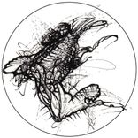 Artwork for "The Cosmic Perspective"