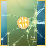 Impulse (Radio Edit)