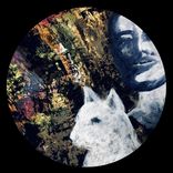 Artwork for "La Pazienza del Coccodrillo"