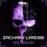 Artwork voor "Holding On"