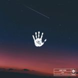 Portada para "Like You"