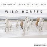 Portada para "Wild Horses"