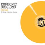 Portada para "Shindig"