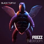 Portada para "Backroom"