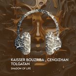 Artwork for "Shadow of Life"