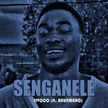 Portada para "Senganele"