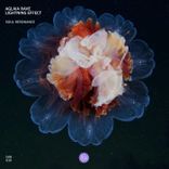 Artwork voor "Soul Resonance"