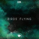 Artwork for "Birds Flying"