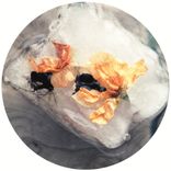 Artwork voor "Radiate EP"