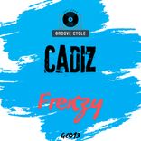 Portada para "Frenzy"